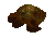 Sea turtle