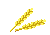 grain