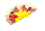 Half Anchovie Pizza