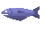 Raw Pike