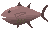 Tuna