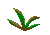 Herb