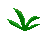 Irit Leaf