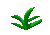seaweed