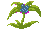 dwellberries