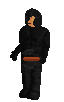 Dark Warrior