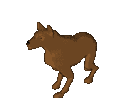 Guard Dog