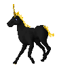 Black Unicorn
