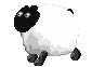 2nd plague sheep