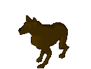 Karamja Wolf